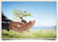 Prayer for Safety and Protection